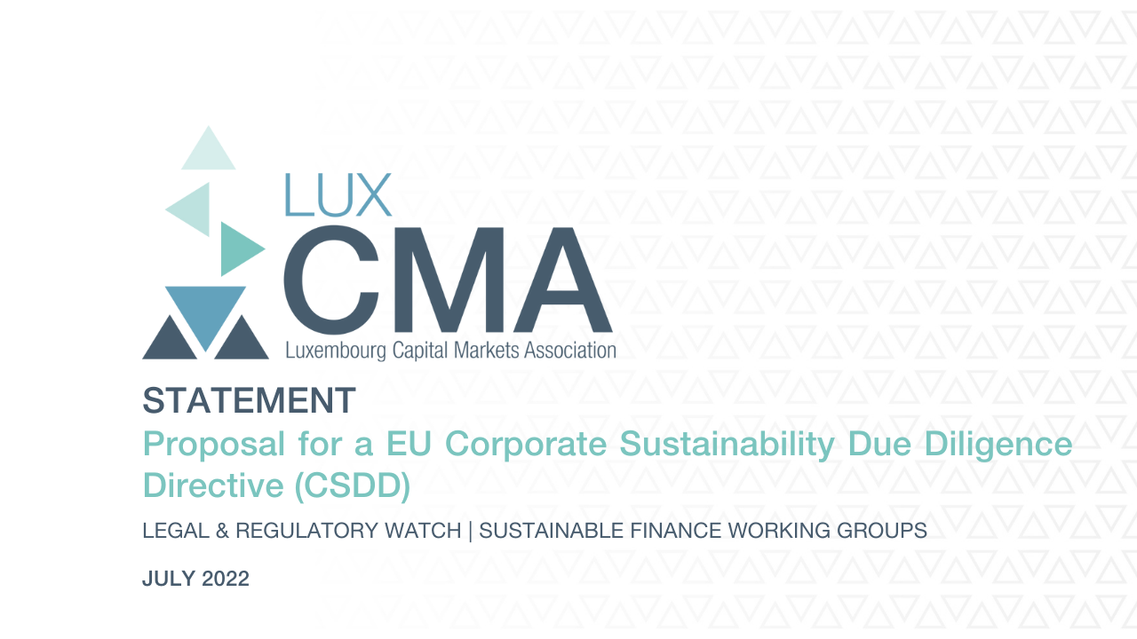 Sustainable Finance I Statement I Proposal for a EU Corporate Sustainability Due Diligence Directive (CSDD)